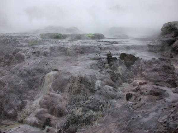 Pohutu Geyser